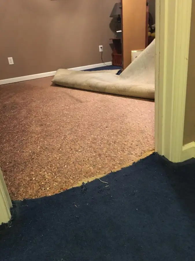 Carpet pad removal revealing water damage during Drying & Dehumidification in Willows