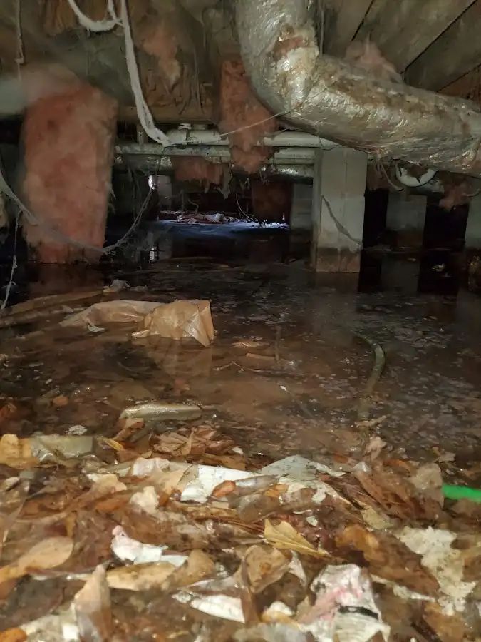 Crawl space flood assessment for Commercial Water Damage Restoration in Willows