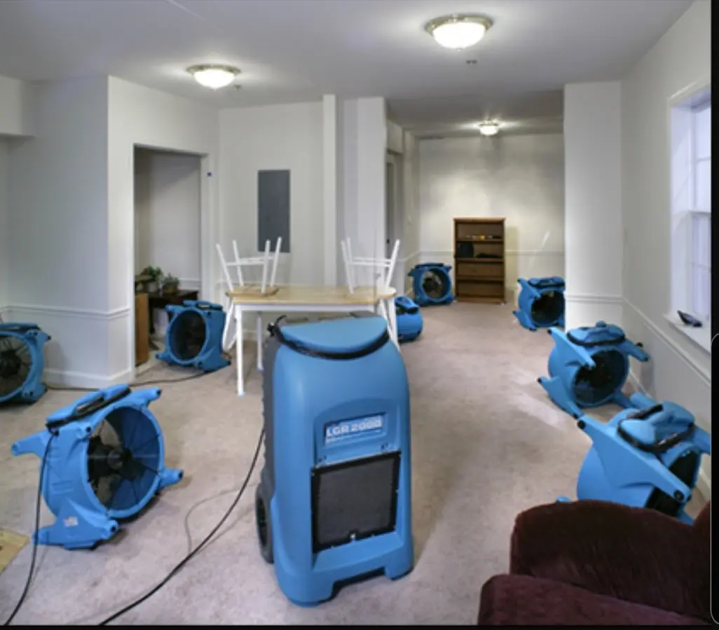 Air movers and dehumidifier setup for Water Extraction & Removal in Willows