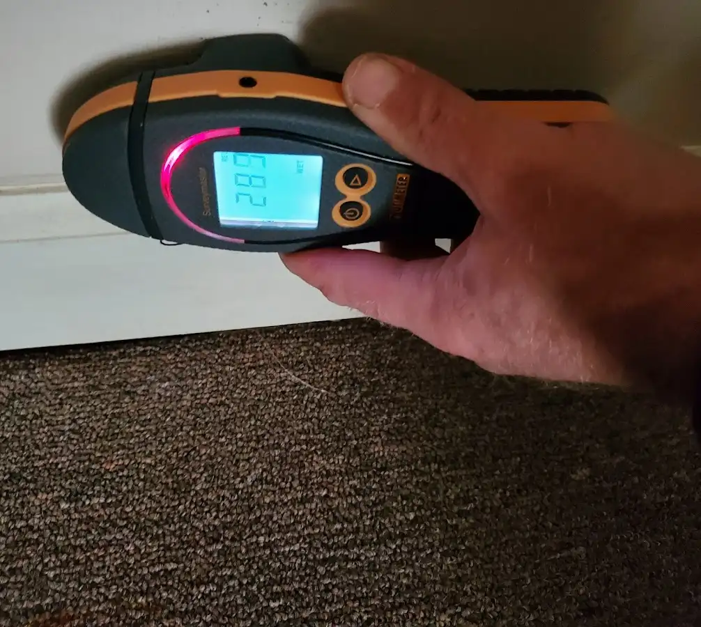 Moisture detection at baseboard during Burst Pipe Cleanup in Willows